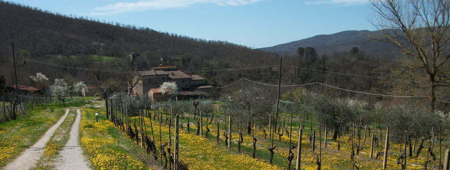 Umbria, casa vacanze in campagna con piscina